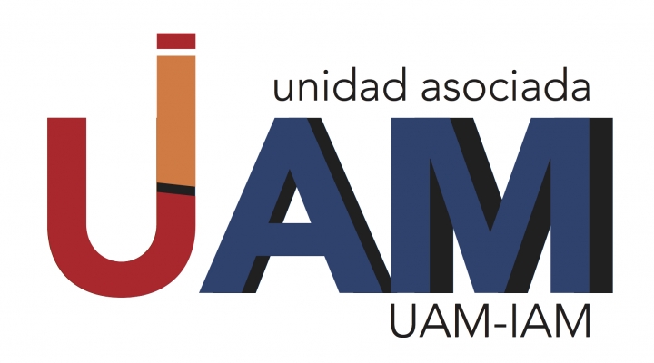 REUNIÓN UNIDAD ASOCIADA UAM-IAM