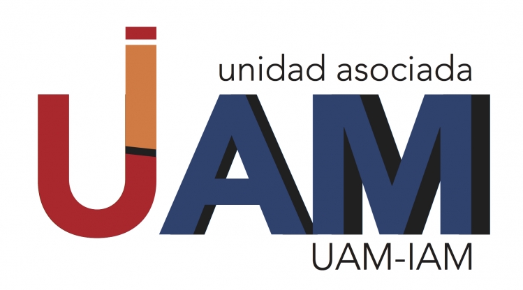 REUNIÓN UNIDAD ASOCIADA UAM-IAM